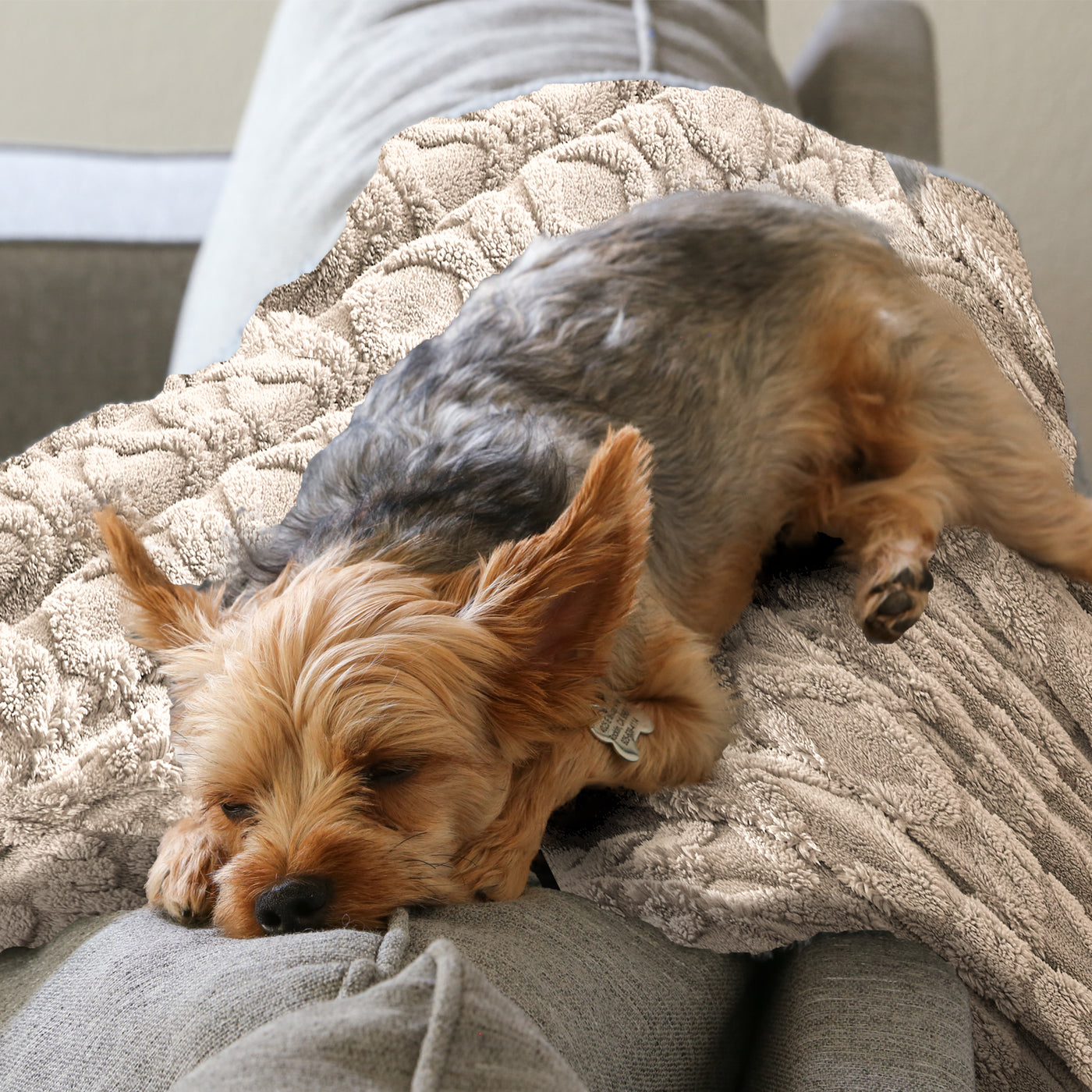 Knit Fleece Blanket